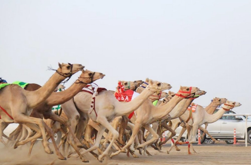 المرحلة الثانية للسباق (واس)
