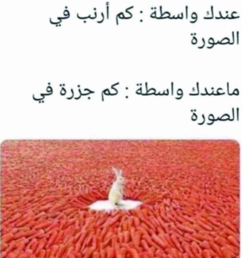 الصورة التي نشرها عسيري في سناب شات