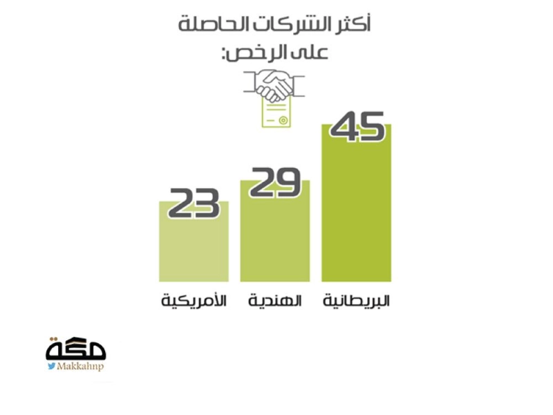 إصدار 291 رخصة استثمار أجنبي خلال 3 أشهر