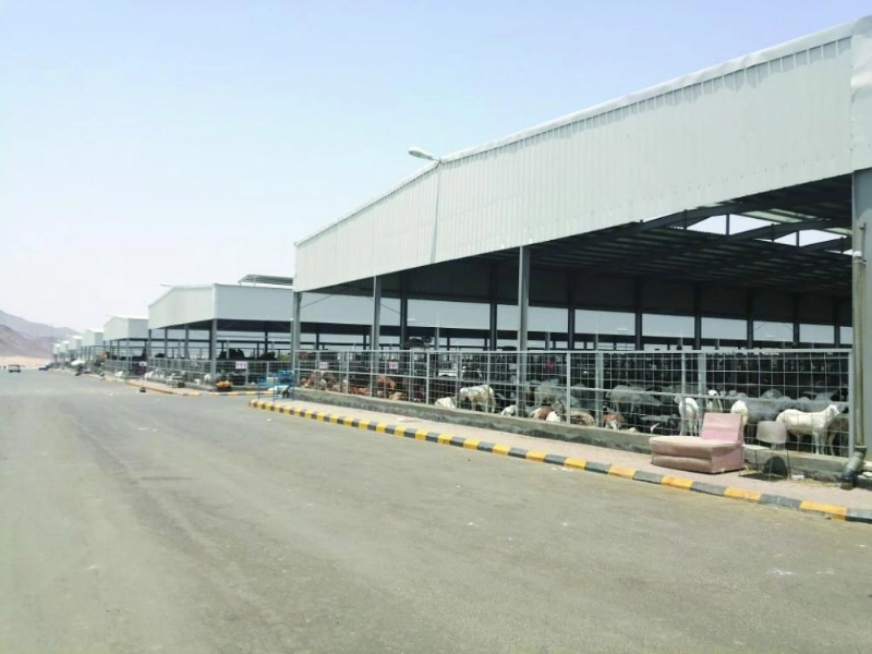 الحلقة الجديدة (مكة)