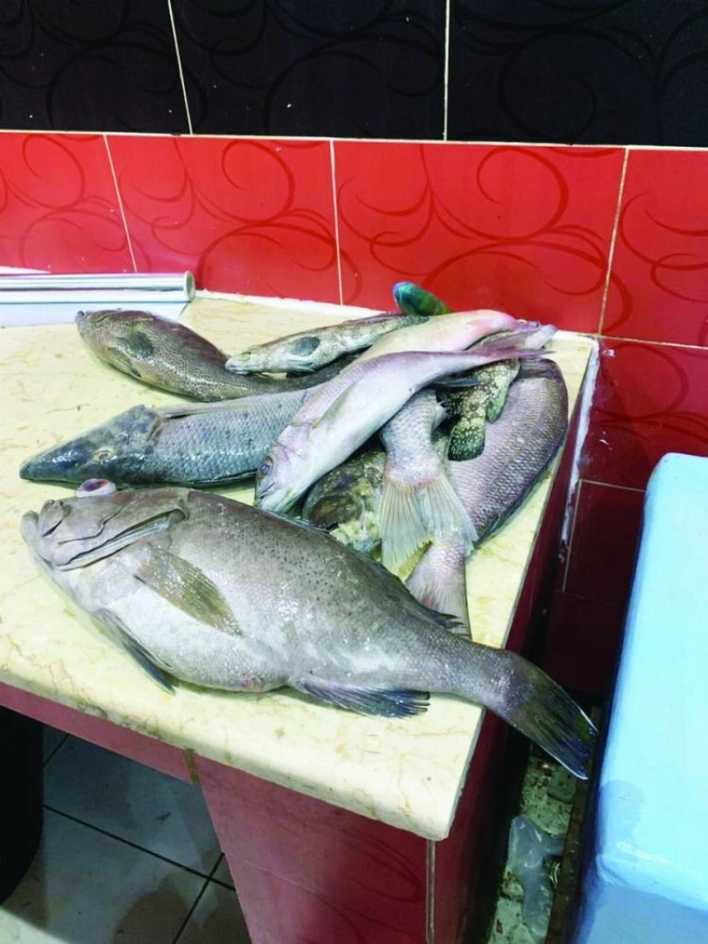 أسماك فاسدة (مكة)