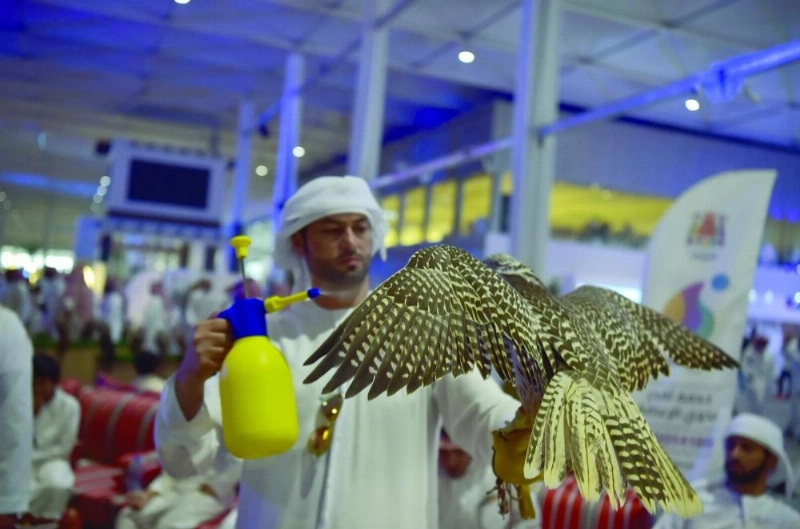 من معرض الصقور والصيد (مكة)
