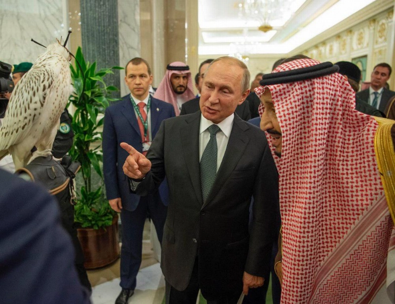 صقر حر أبيض هدية بوتين للملك سلمان (بندر الجلعود)
