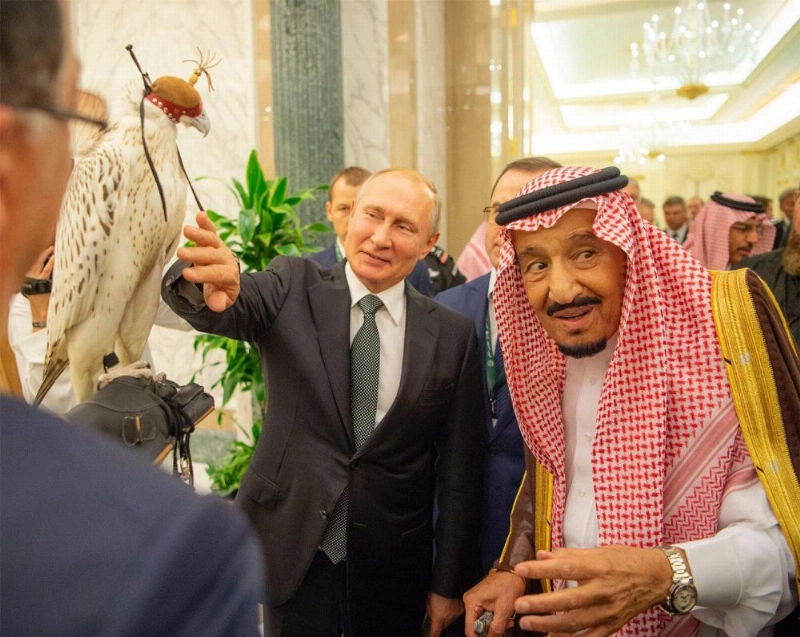 صقر حر أبيض هدية بوتين للملك سلمان (بندر الجلعود)