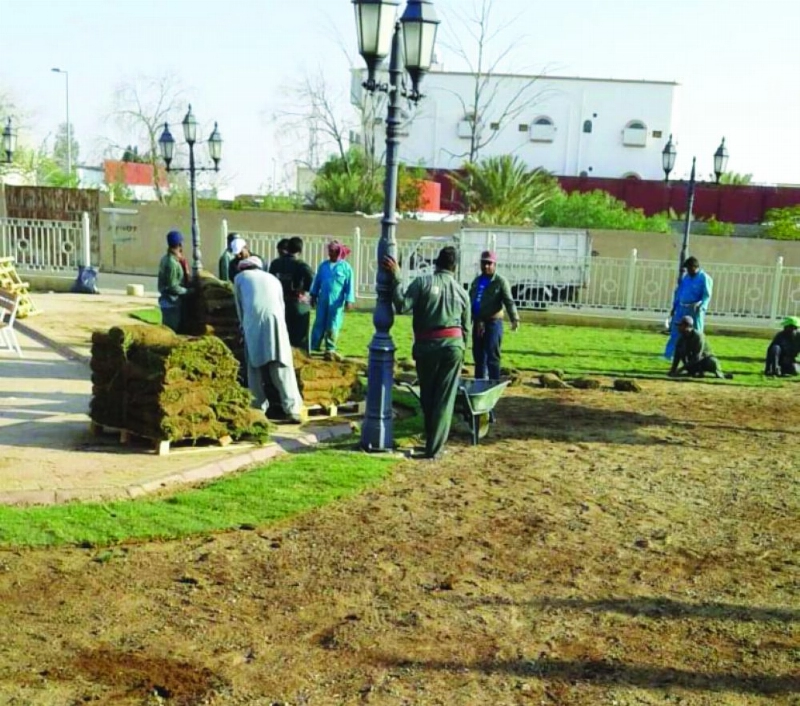 من العمل على تأهيل الحدائق بالطائف (مكة)
