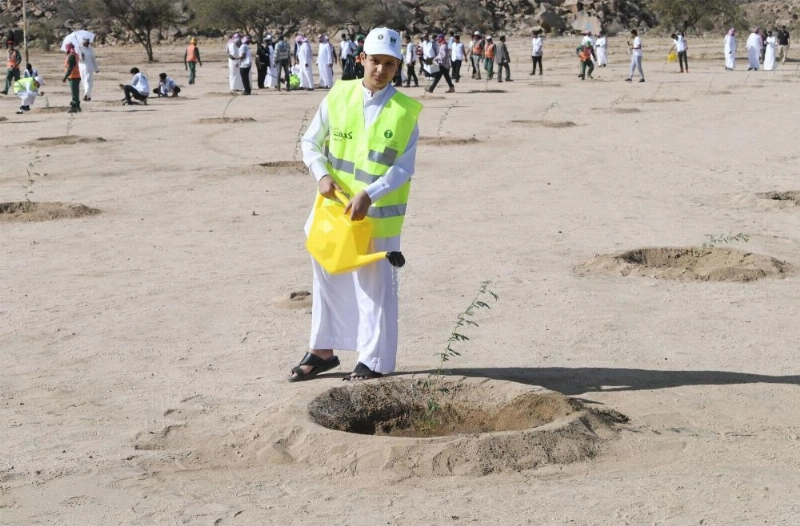 من حملة التشجير بالمتنزه (مكة)