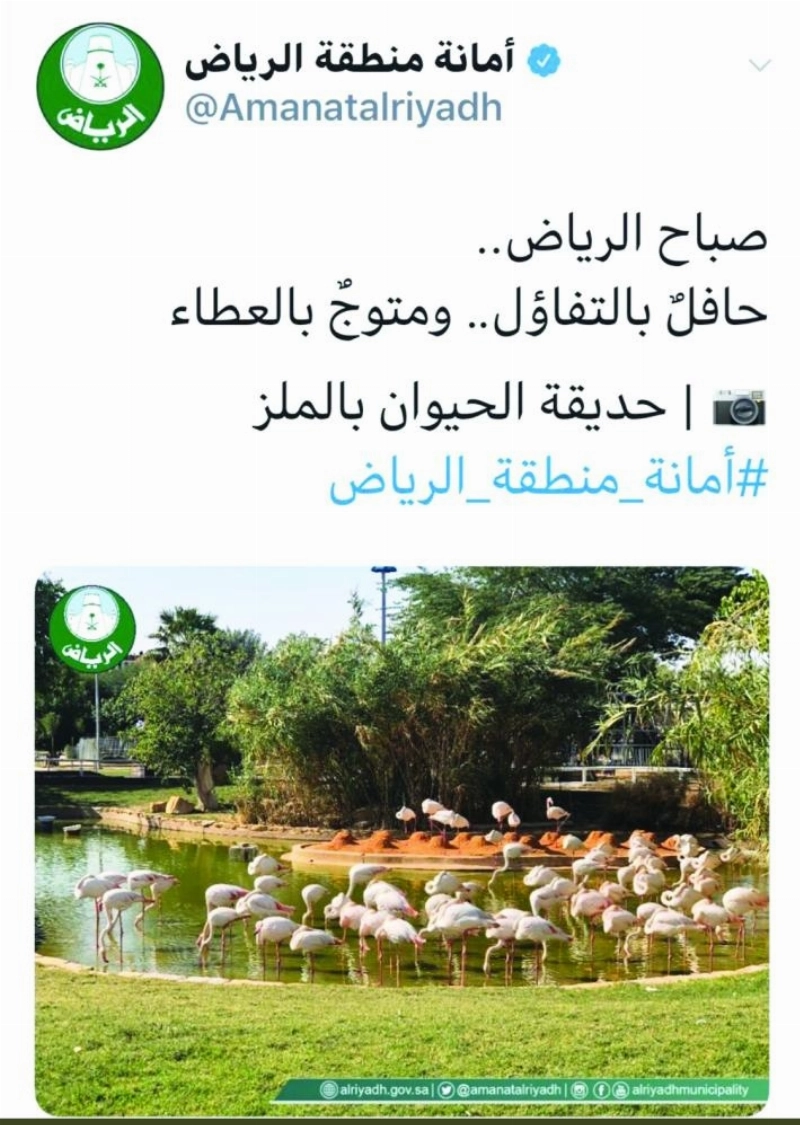 تغريدة أمانة الرياض التي حذفتها سريعا (مكة)