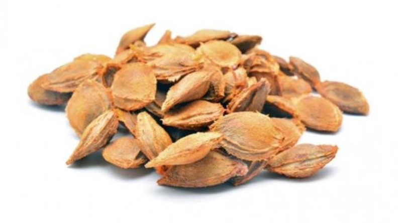 زيت بذور المشمش