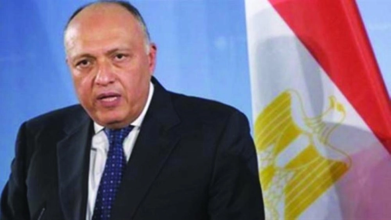 سامح شكري