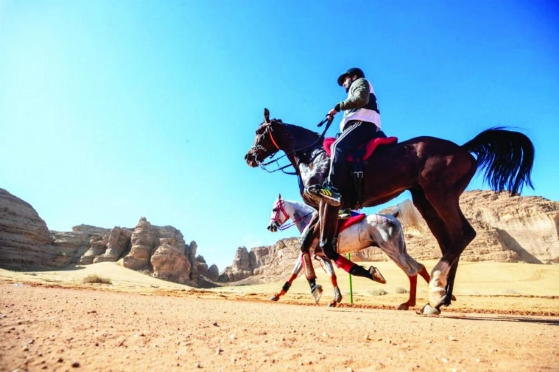جانب من سباقات القدرة والتحمل (مكة)