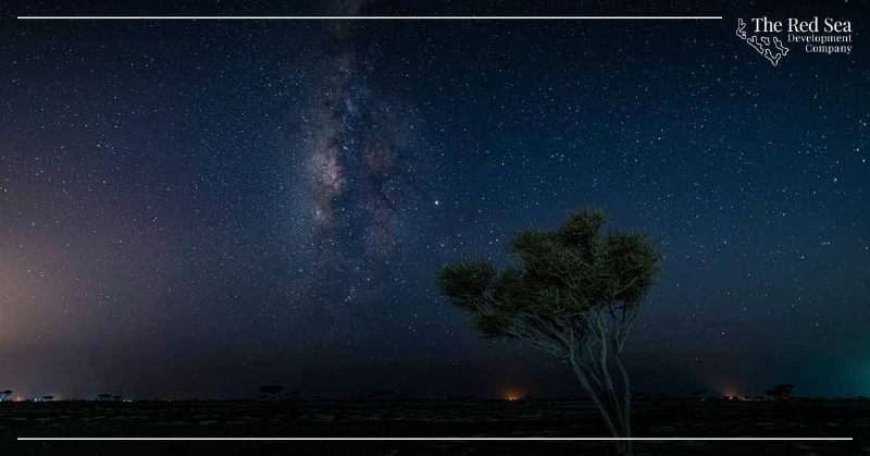مشـروع البحر الأحمر