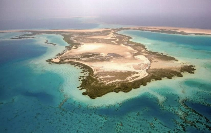 شركة البحر الأحمر