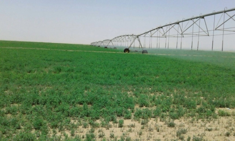 محاور رش مياه في إحدى المزارع (مكة)