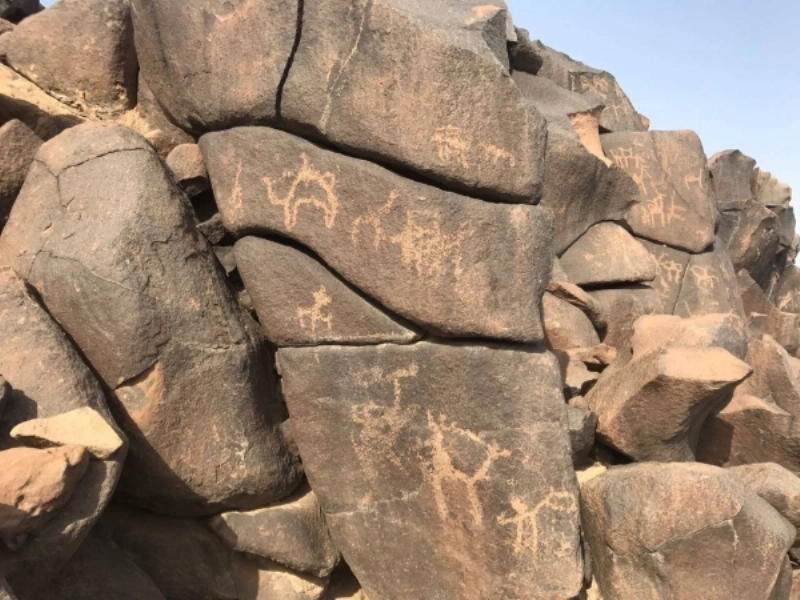 رسوم الصيد في صخور وادي إرن (مكة)