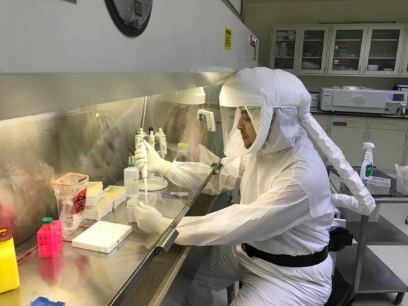 فحص العينات بمختبر الجامعة (مكة)