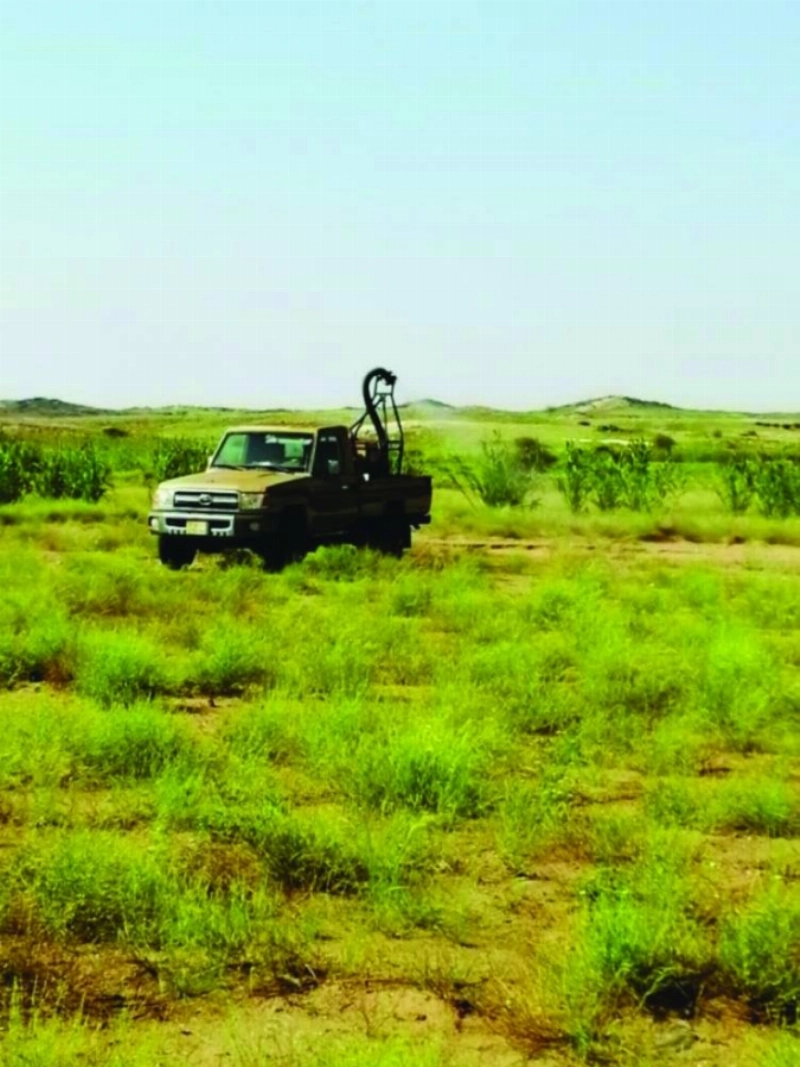 من أعمال مكافحة الجراد (مكة)
