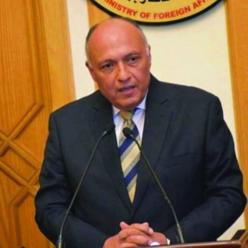 سامح شكري