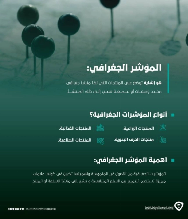المؤشر الجغرافي