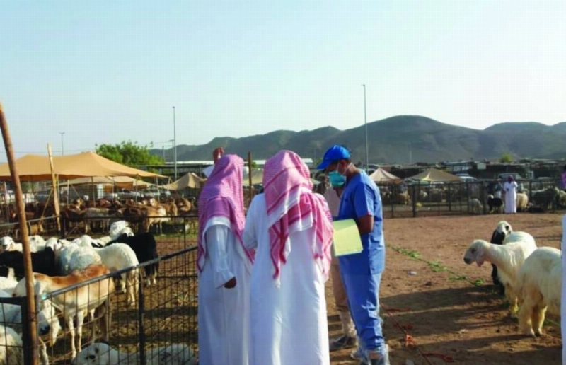 من الجولات الرقابية (مكة)