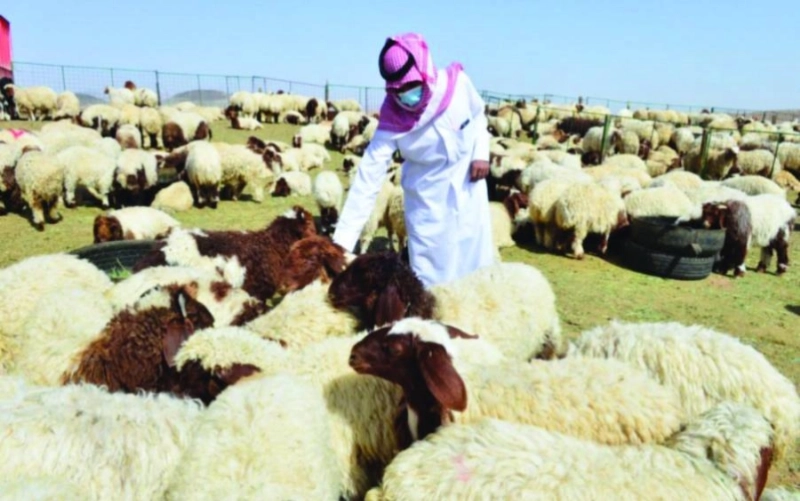 أحد أسواق بيع الأضاحي (مكة)