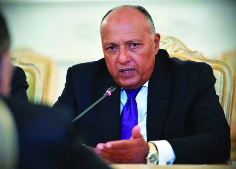 سامح شكري