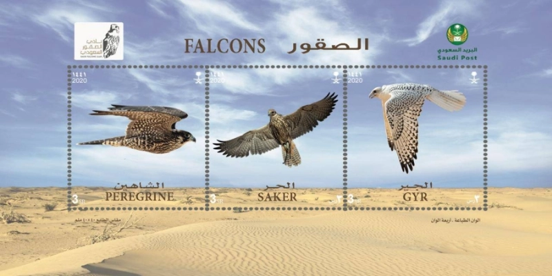 البريد السعودي يصدر طابعا عن الصقور