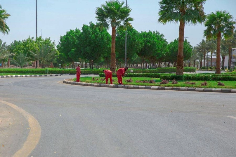 عمال خلال تجهيز إحدى الحدائق (مكة)
