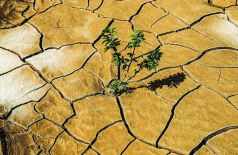 الجفاف يضرب الأراضي الإيرانية بالأحواز (مكة)