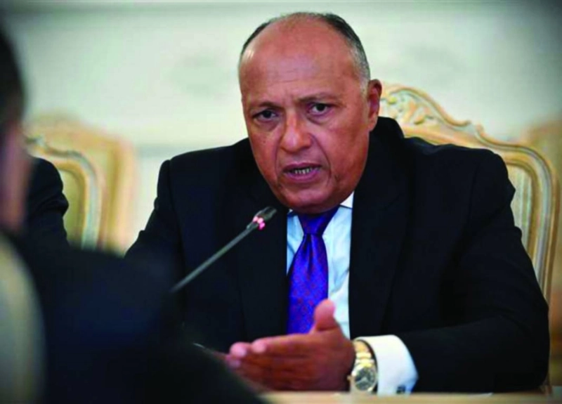 سامح شكري