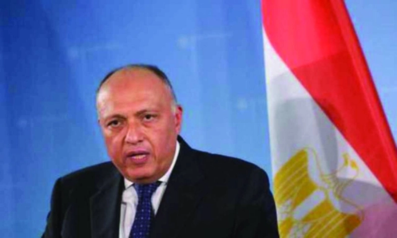 سامح شكري