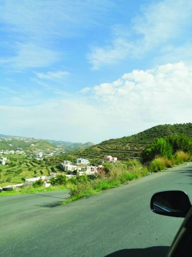مدرجات زراعية في عسير (مكة)