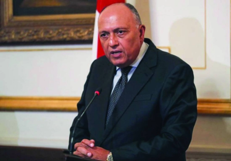 سامح شكري