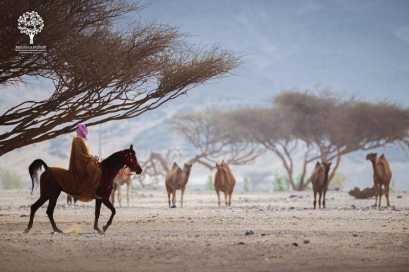 مسك الخيرية