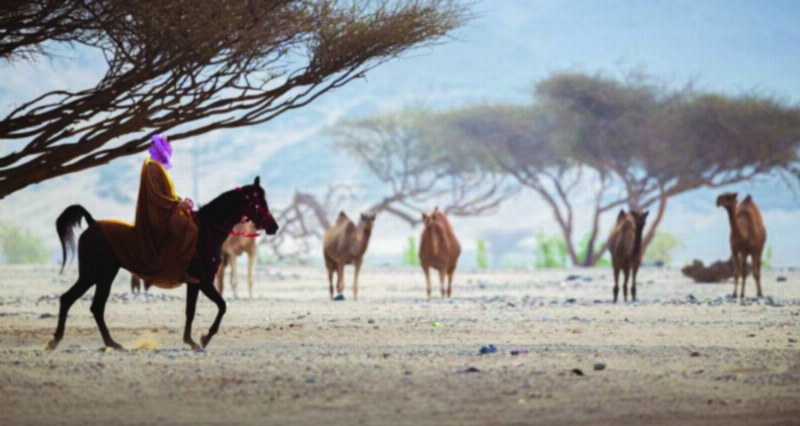 من المشاهد التاريخية المصورة (مكة)