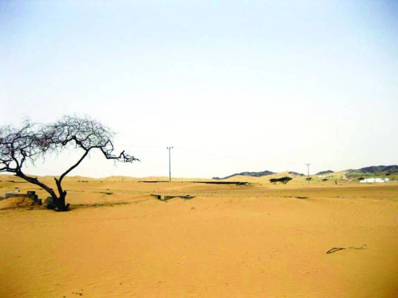 زحف الرمال بأحد المواقع (مكة)