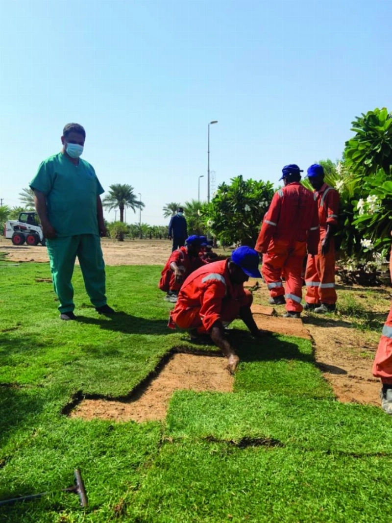 عمال البلدية خلال زراعة النجيلة (مكة)