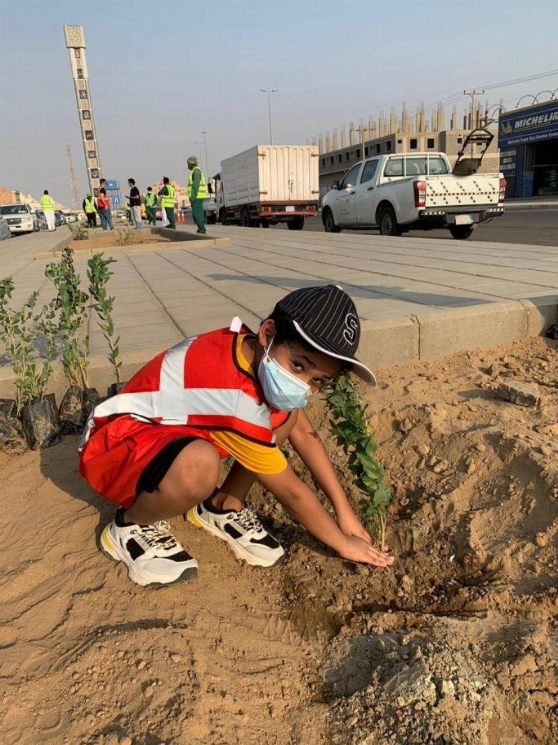 مبادرة التشجير
