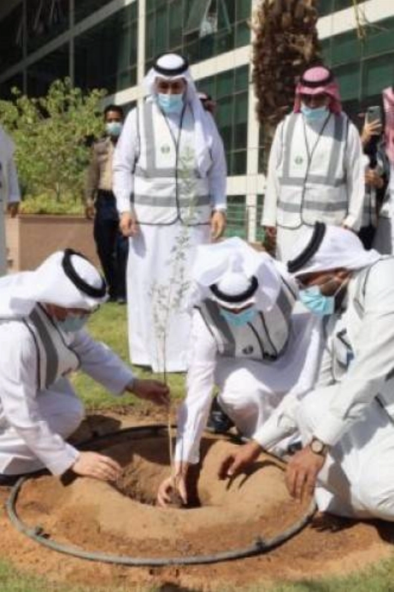 من حملة التشجير (مكة)
