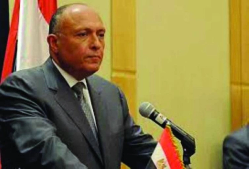 سامح شكري