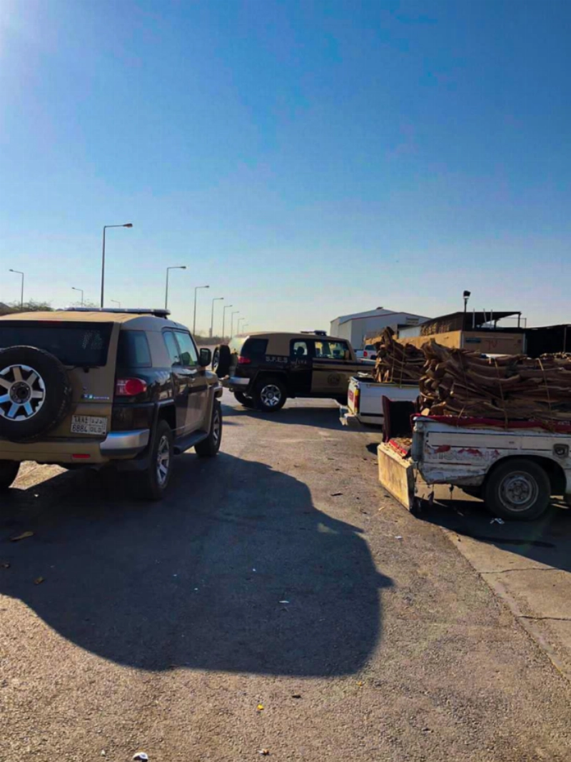 ضبط 10 مخالفين بحوزتهم 12,5 طناً من الحطب المحلي المعد للبيع في مدينة الرياض (واس)