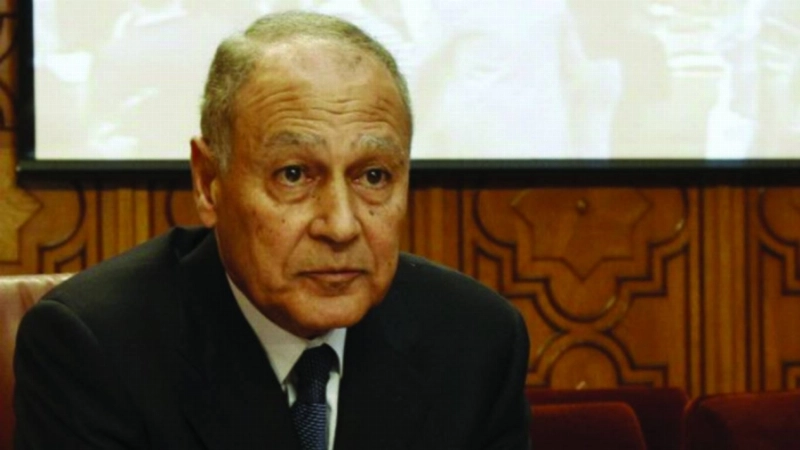أحمد أبو الغيط