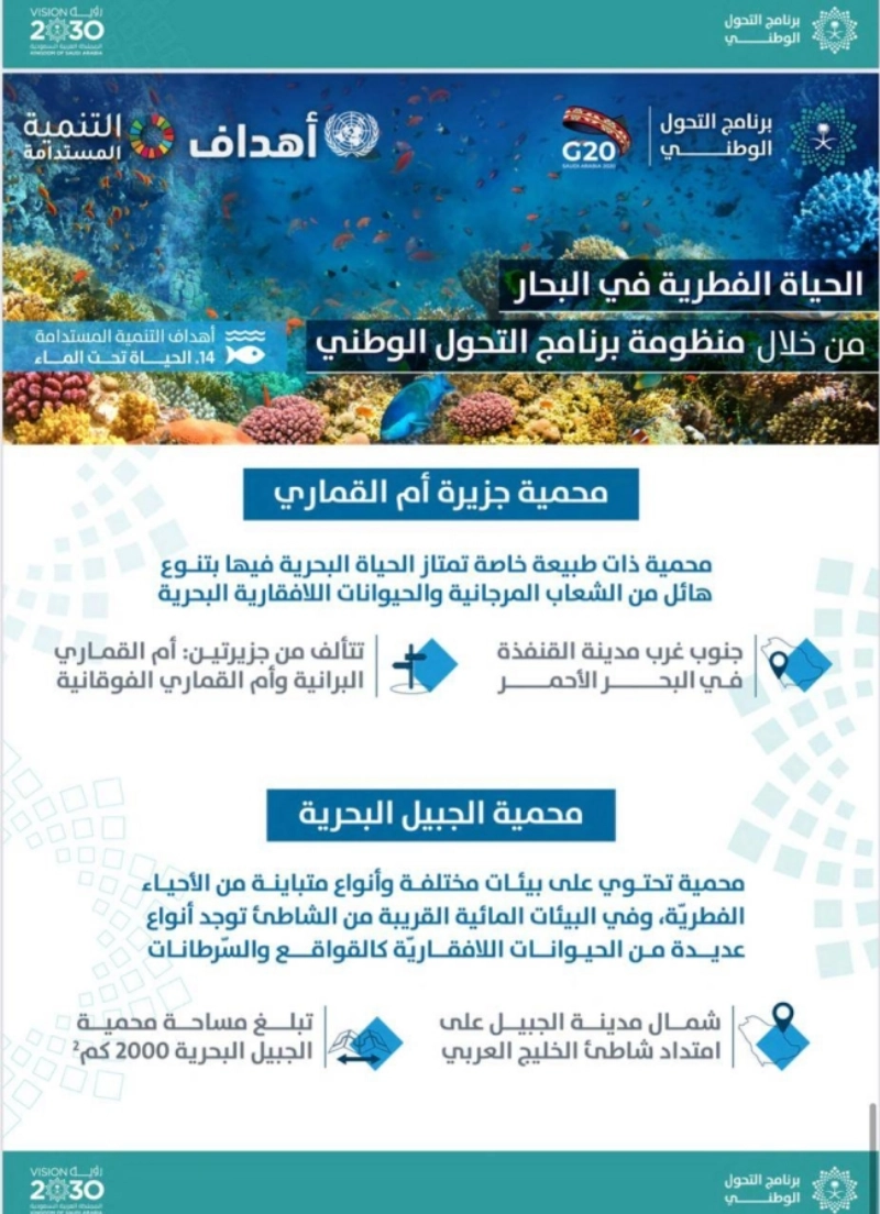جانب من إنجازات التحول الوطني