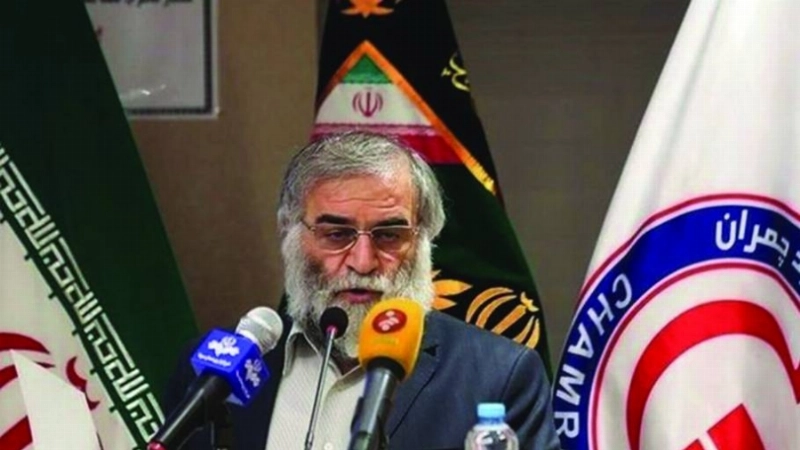 محسن فخري زاده