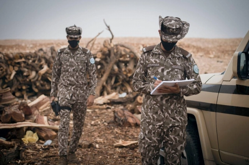 جانب من ضبطيات الفرق للحطب (مكة)