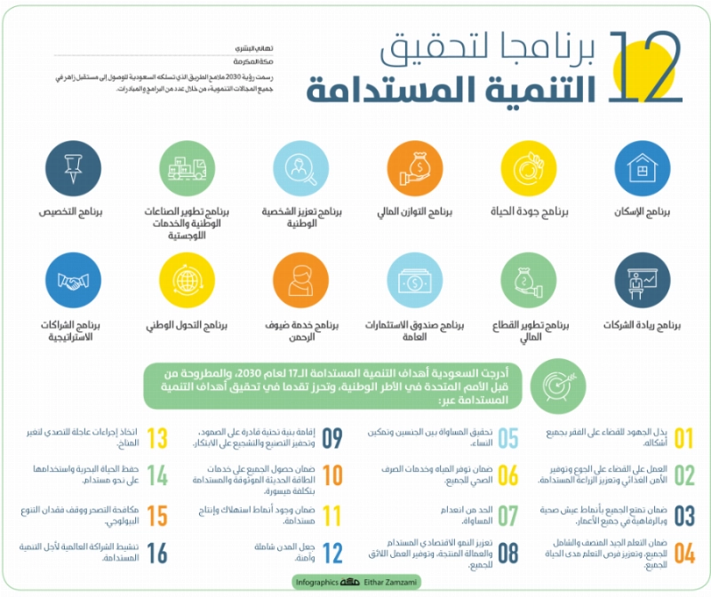 12 برنامجا لتحقيق التنمية المستدامة