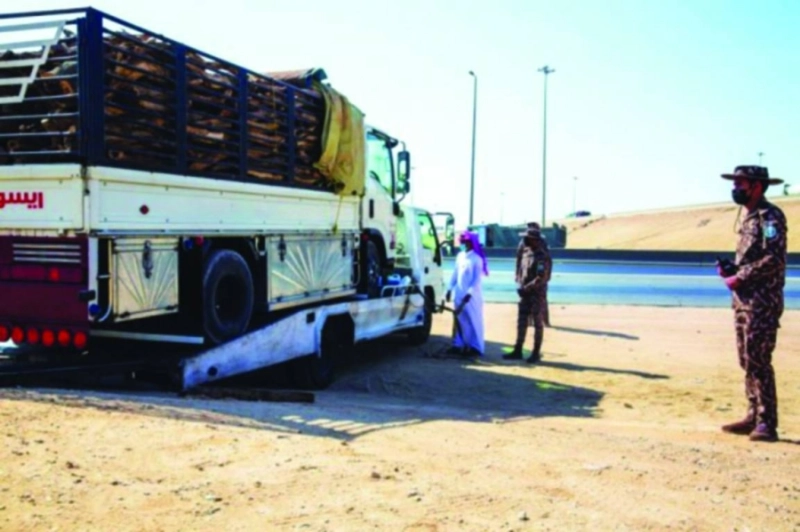 الفرق خلال ضبطها شاحنة محملة بالحطب (مكة)