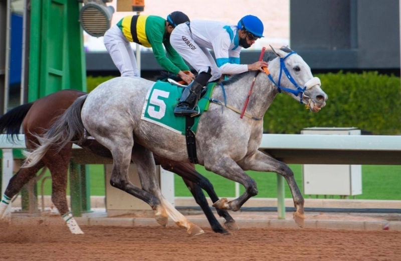 موسم نادي سباقات الخيل