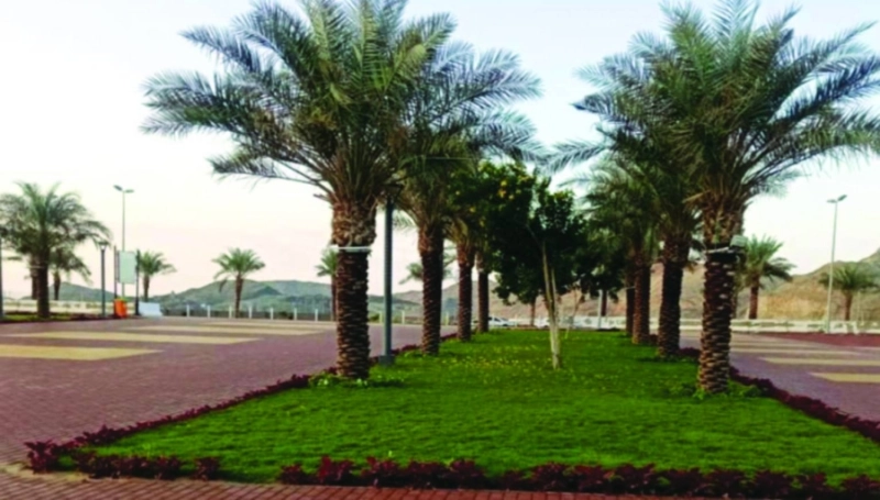 إحدى الحدائق العامة بالعاصمة المقدسة (مكة)