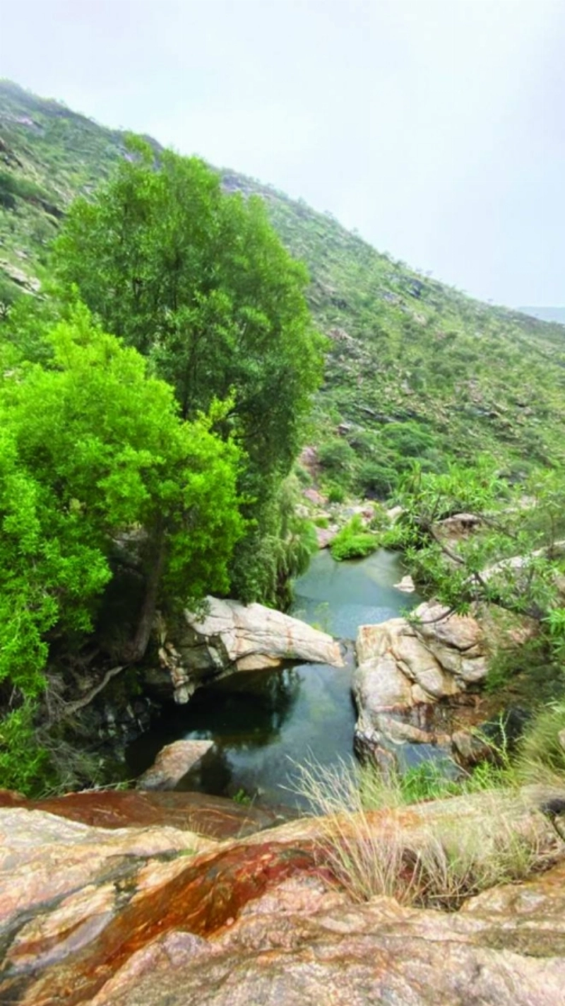 من البيئة الطبيعية بالأصدار (مكة)