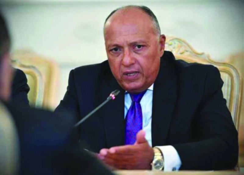 سامح شكري